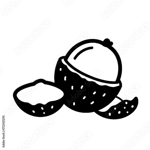 Lychee Fruit Hand Drawn Style Fresh Tropical Fruit with Seeds Isolated