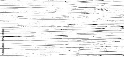 Tree bark texture