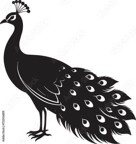 Elegant Peacock Silhouette Vector Illustration