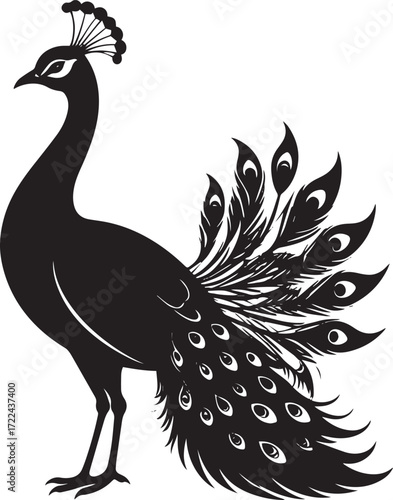  Elegant Peacock Silhouette Vector Illustration