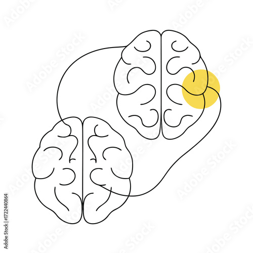 Two Brains Connected Showing Cognitive Function