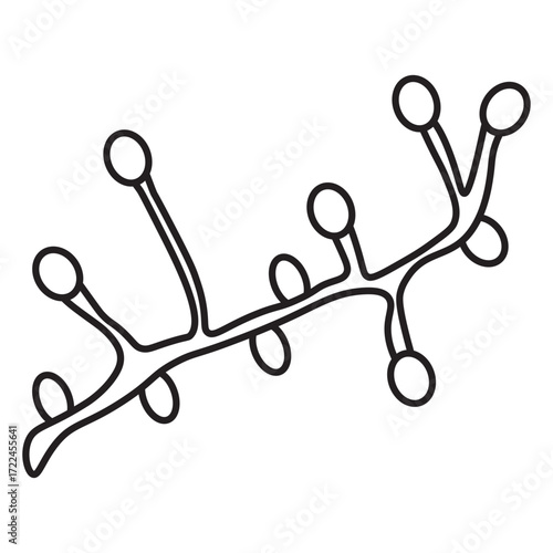 Blastomyces dermatitidis line icon