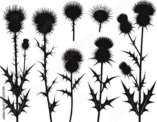 Wallpaper Mural Black silhouettes of thistles Torontodigital.ca