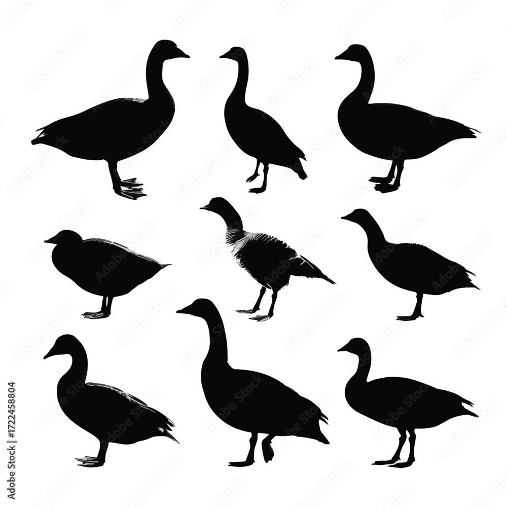 Obraz premium Collection of flying and standing geese silhouettes isolated on white background