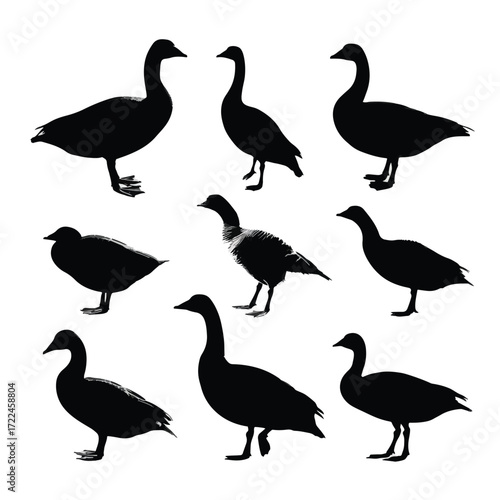 Collection of flying and standing geese silhouettes isolated on white background