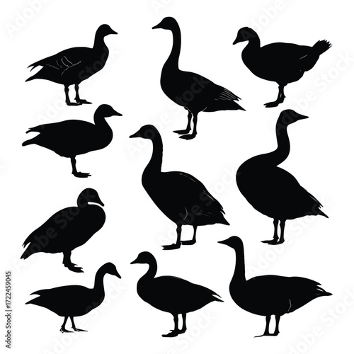Collection of flying and standing geese silhouettes isolated on white background