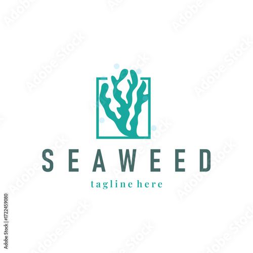 seaweed logo with a simple minimalist concept of ocean plant fish, design, symbol, illustration, template