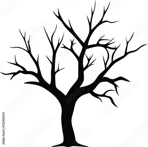 Bare winter tree silhouette with twisted branches isolated on white background