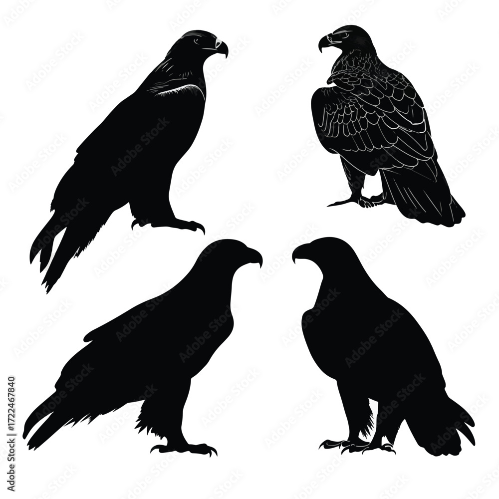Fototapeta premium Set of golden eagle silhouettes in various poses isolated on white background