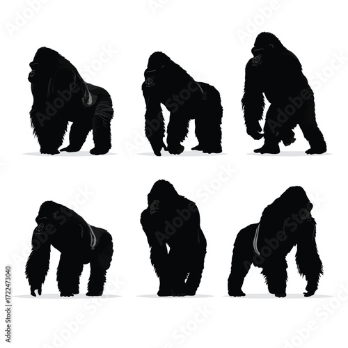 Collection of gorilla silhouettes in various poses isolated on white background