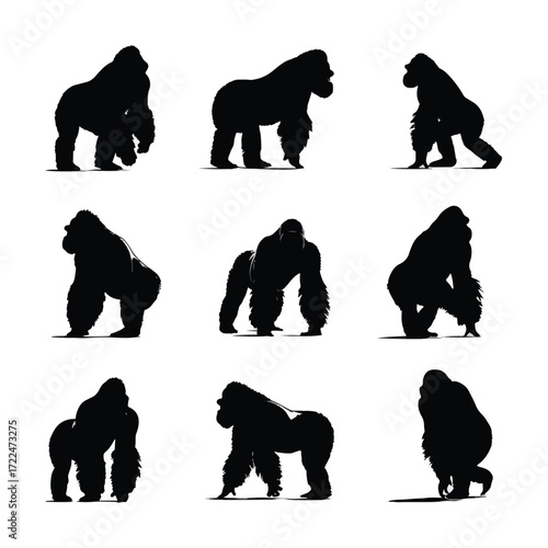 Collection of gorilla silhouettes in various poses isolated on white background