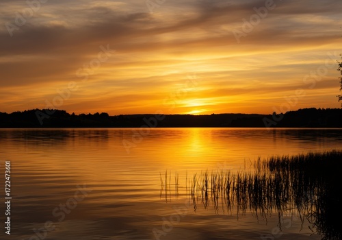 Wallpaper Mural Golden sunset over calm water Torontodigital.ca