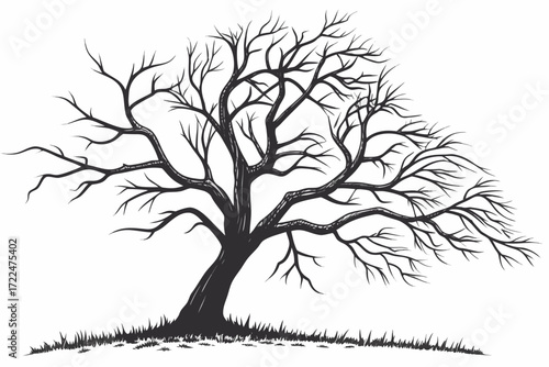 black and white dead tree