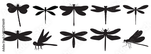 dragonfly silhouette on white background vector