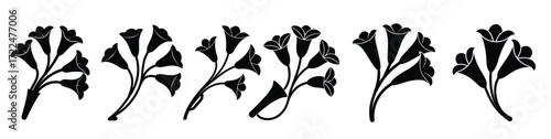 elegant black and white floral silhouettes vector illustration
