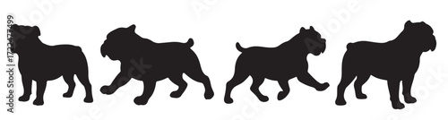 bulldog silhouette bundle vector illustration