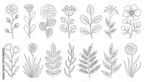 Wallpaper Mural Vintage botanical line art collection featuring detailed floral and plant illustrations isolated on transparent background Torontodigital.ca