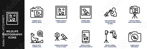 Wildlife Photography Line Icon Set