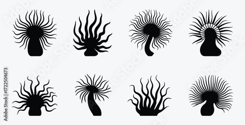 Sea anemone black silhouettes underwater flora and fauna vector graphics