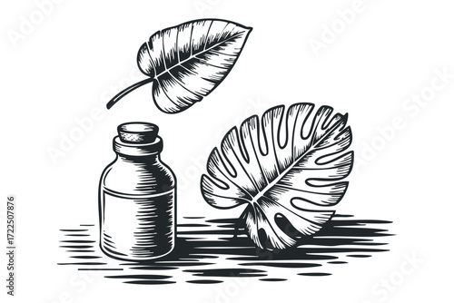 Botanical bottle with tropical leaves monochrome drawing. Vector hand drawn illustration
