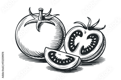 Hand-drawn illustration of whole and sliced tomatoes. Vector hand drawn illustration