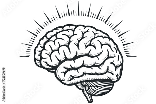 Stylized Black and White Human Brain with Radiating Lines. Vector hand drawn illustration