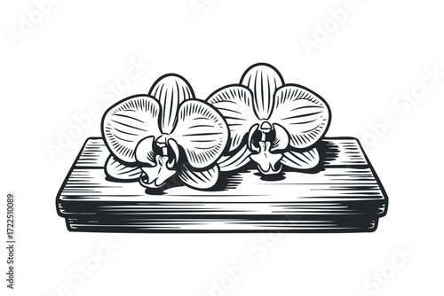Orchid flowers on a wooden surface sketch. Vector hand drawn illustration