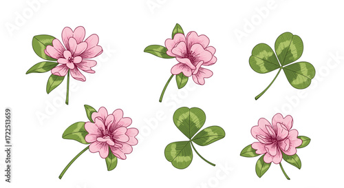 A charming collection of pink clover flowers and lucky green shamrocks.