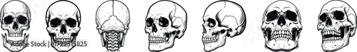 Human skull rotation strip front to profile