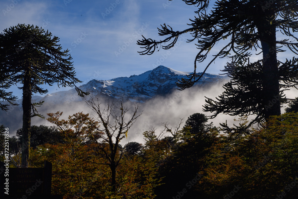 Fototapeta premium Volcanes en el sur de Chile