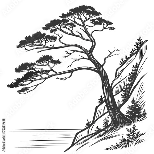Bild auf Leinwand A solitary windswept pine tree clings to a steep rocky cliff overlooking calm wa