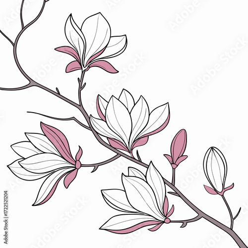 Elegant illustration of delicate white magnolia flowers with soft pink accents blooming on a bare branch against a clean white background symbolizing spring and new beginnings