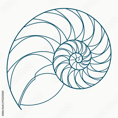 Elegant teal line art illustration of a nautilus shell s logarithmic spiral pattern on a clean white background showcasing natural geometry and symmetry
