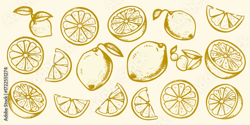 Hand drawn golden yellow lemon fruits and slices scattered on a light yellow background