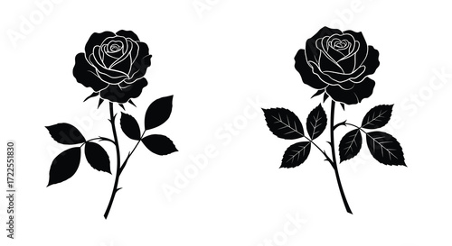 Elegant black silhouettes of two roses with stems and leaves