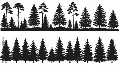 Silhouette of coniferous trees against a bright white background