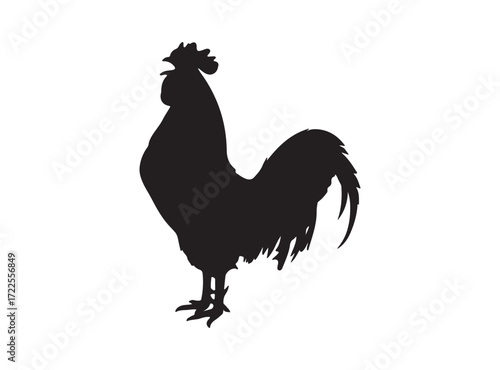 Rooster black silhouette icon. Male cock side view. Poultry cock. Vector isolated graphic illustration on white background 