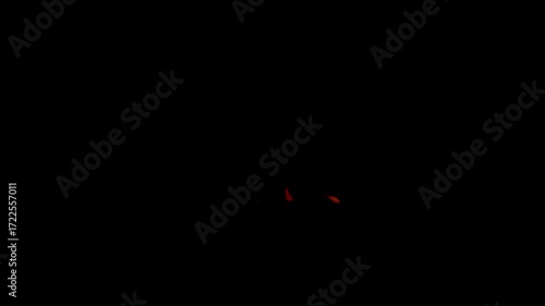 Fire Explosion Transition To The Camera With Alpha Channel. Realistic fire explosion transition with alpha stock video