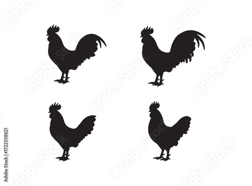 Rooster black silhouette icon. Male cock side view. Poultry cock. Vector isolated graphic illustration on white background 