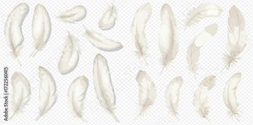 A collection of soft, light beige feathers of varying sizes and shapes, gently floating against a transparent background.