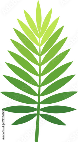 Simple Geometric Palm Leaf Frond Illustration for Tropical Decoration Element