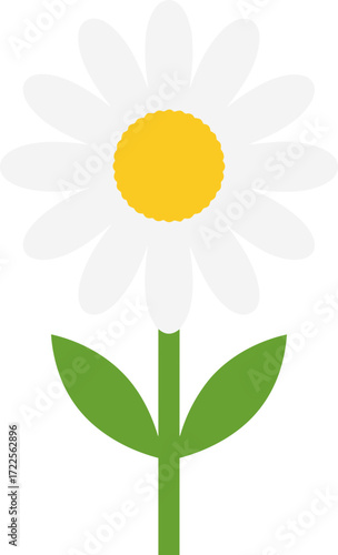 Simple Flat Style Daisy Flower with Green Stem and Leaves Illustration