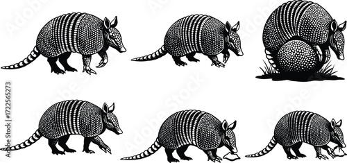 armadillo silhouette, animal vector, wildlife clipart, flat vector, armored mammal