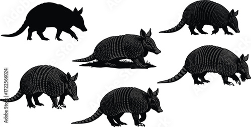 armadillo silhouette, animal vector, wildlife clipart, flat vector, black armadillo, animal silhouette, armored mammal, woodland animal, nature icon, animal artwork