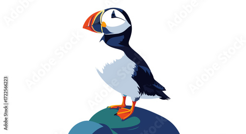 Cartoon Puffin Bird Standing on a Rock Illustration.