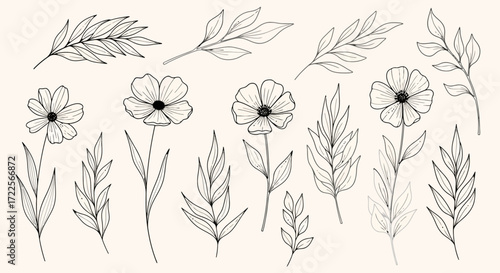 Delicate Floral Sketch Collection Featuring Botanical Elements for Artistic Design and Creative Projects Requiring Botanical Illustrations or Decorative Plant-Themed Assets
