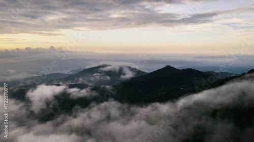 Aerial View of a Serene Mountain Forest Emerging from a Sea of Clouds at Dawn