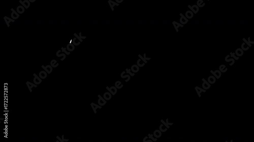 Set of Animated Stroke Elements