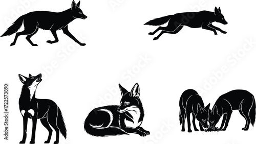 Fox wildlife illustration set, animal behavior poses, hunting, leaping, crouching, resting, sniffing, howling, nature silhouette, carnivore vector art, wild mammal sketch