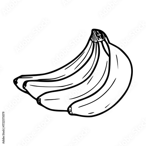 banana bunch outline drawing